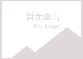 禅城区白山培训有限公司